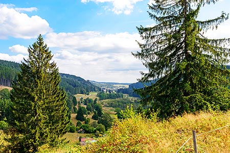 Wandern auf dem Hochschwarzwälder Hirtenpfad rund um Lenzkirch