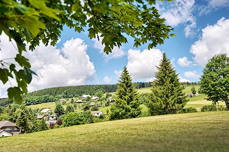 Lenzkirch-Kappel