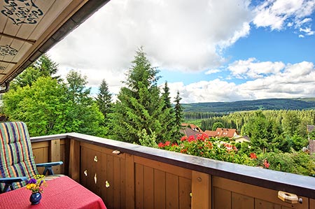Balkon mit Blick zum Feldberg